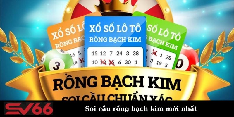 Bí quyết soi cầu rồng bạch kim mới nhất cho tân binh