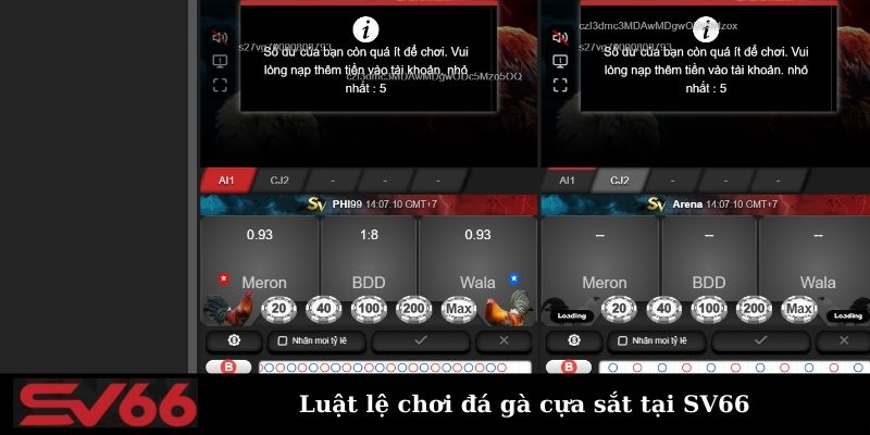 Luật chơi đá gà cựa sắt chi tiết dành cho người mới 