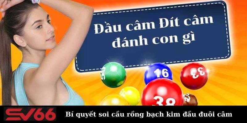 Phương pháp dự đoán số theo đầu và đuôi câm chuẩn xác