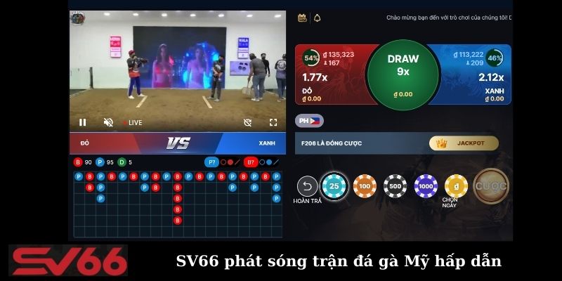 SV66 phát sóng trận đá gà chuyên nghiệp 